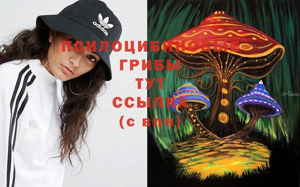 MESCALINE Алзамай