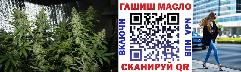 ТГК Wax  Карачаевск 