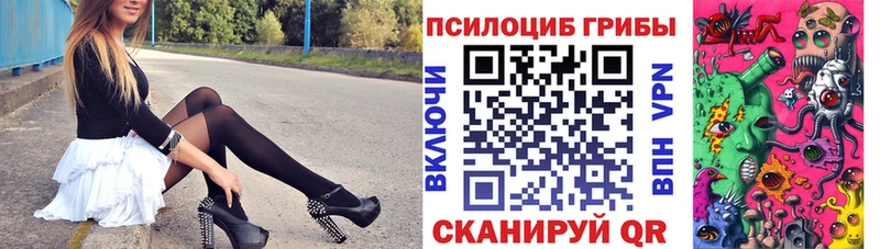 цена наркотик  Карачаевск  Псилоцибиновые грибы Psilocybine cubensis 